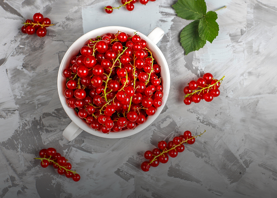 Schisandra