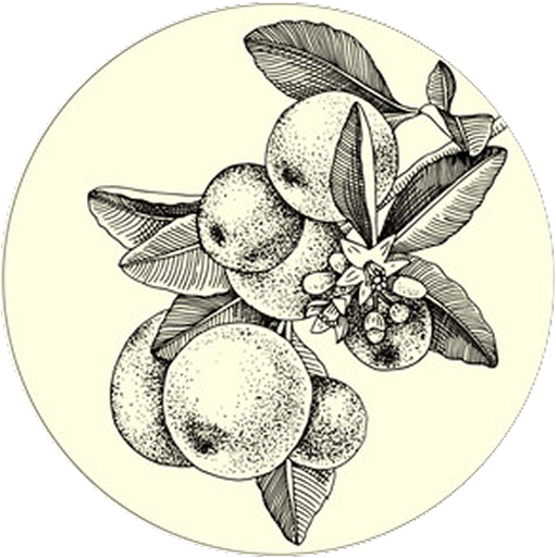Minyak Esensial Bergamot (Citrus Bergamia)